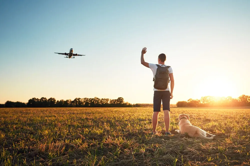 Travel Is Even Worse for the World